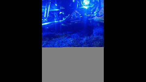 something in the Sky