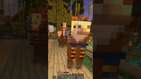 Minecraft 1.19 Realms New Shaders & Mods Survival Multiplayer Series Java SMP (Join Discord for IP!)