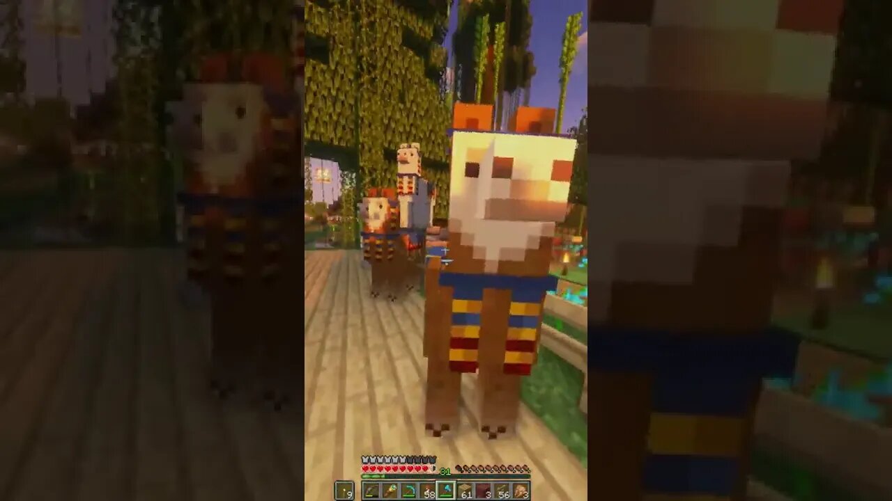 Minecraft 1.19 Realms New Shaders & Mods Survival Multiplayer Series Java SMP (Join Discord for IP!)