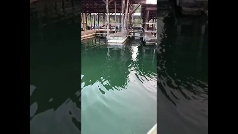Jon boat chronicles