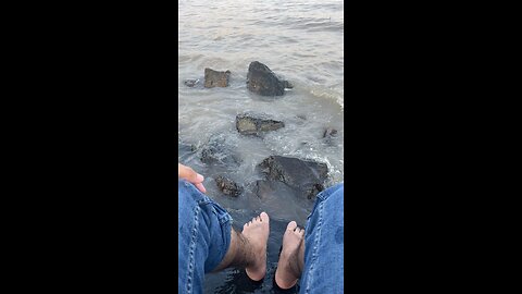 Summer Vibes