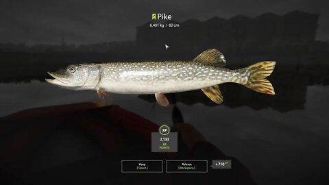 Russian Fishing 4 Volkhov River Pike 6.401 Kg