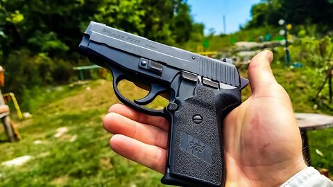 Sig P239 #shorts