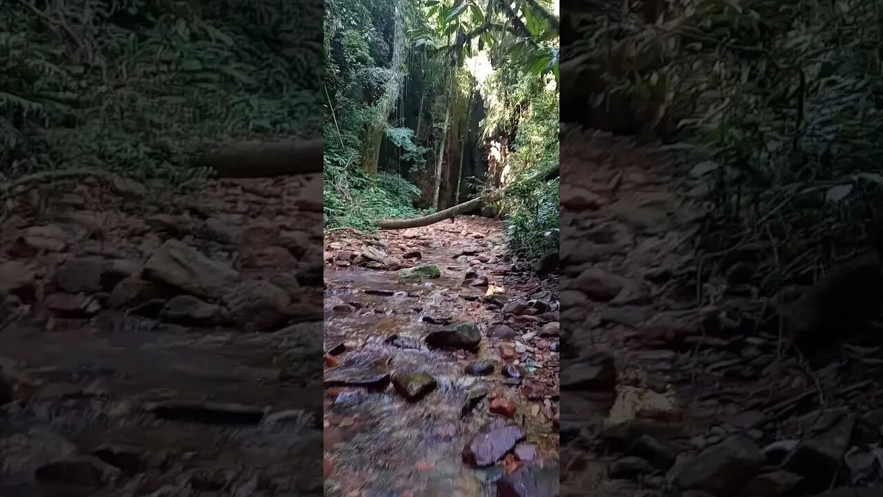 Trilha do Salto Andorinhas - Ascurra SC