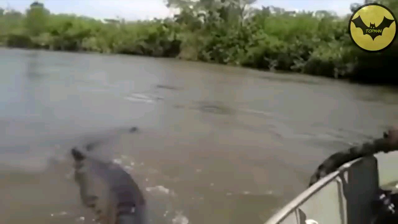 anaconda in amazon reverse