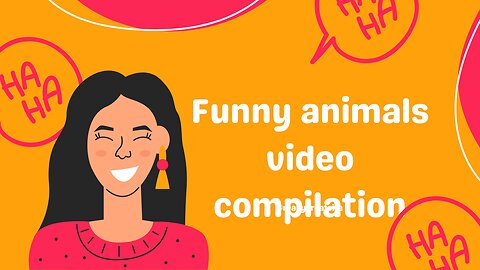 funny animals videos