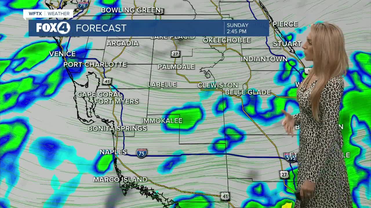 FORECAST: Cool and dry today, wet weather ahead