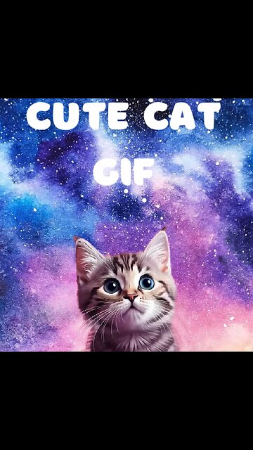 Cute Cat Gif