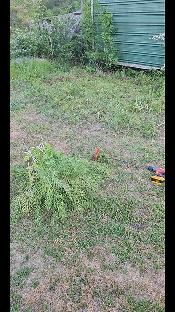 RECKNECK CORDLESS FOOT&WEED EATER