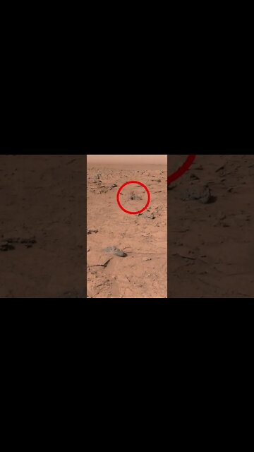 Som ET - 78 - Mars - Curiosity Sol 739 - Updated #Shorts