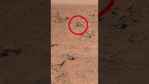 Som ET - 78 - Mars - Curiosity Sol 739 - Updated #Shorts