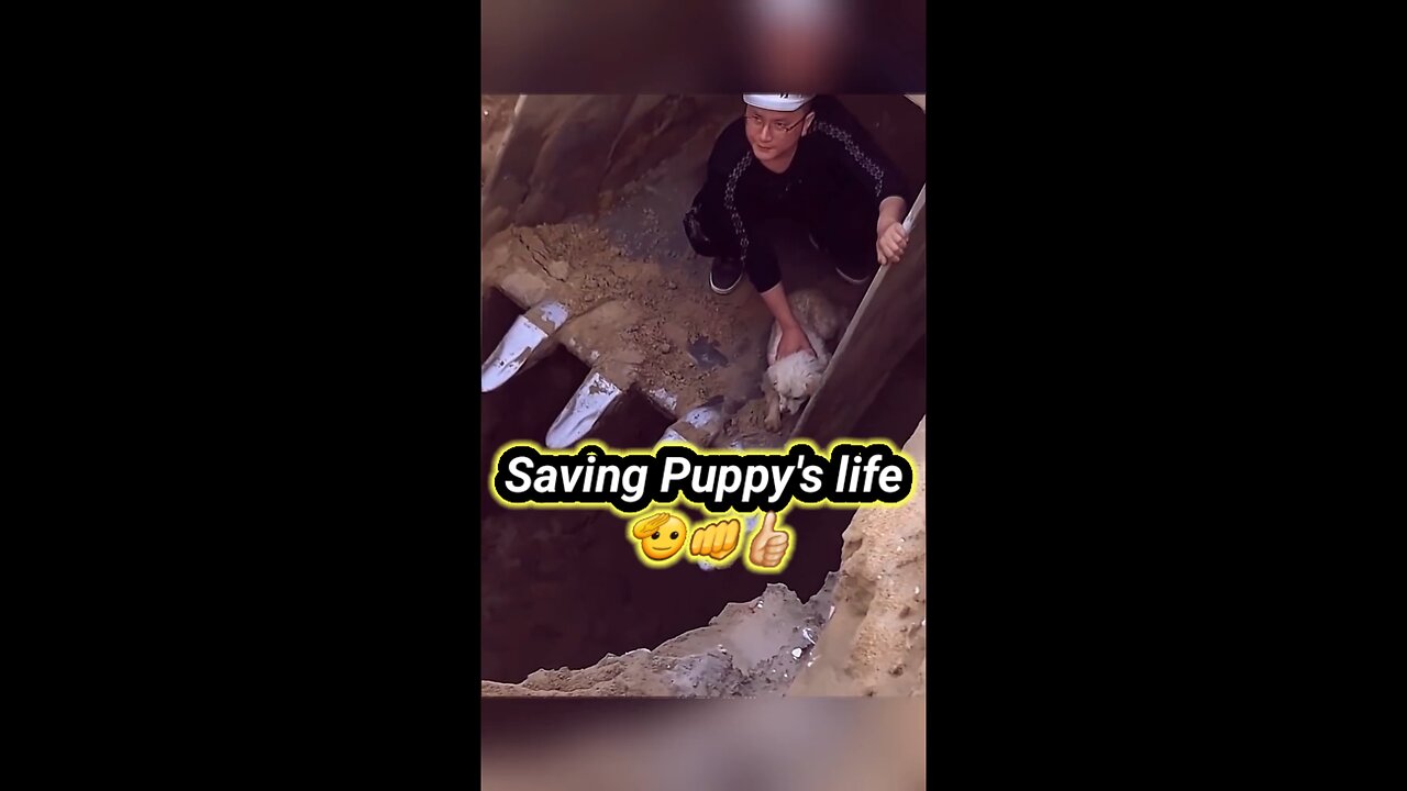 Saving Puppy's life 🐶 , good job 👏