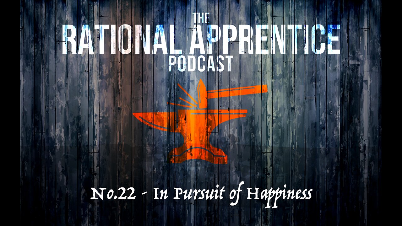 No.22 - In Pursuit of Happiness