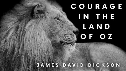 Courage in the Land of Oz with James David