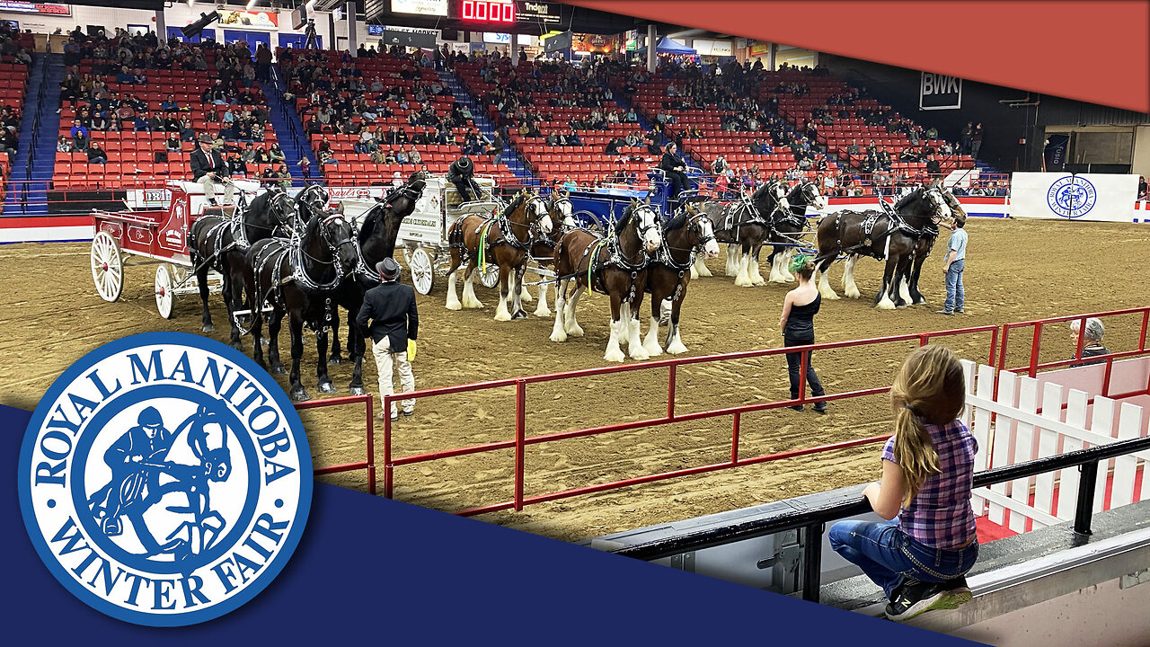 Royal Manitoba Winter Fair - 2023 - Brandon, MB