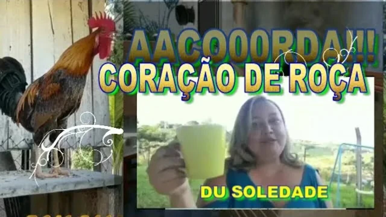 CORAÇÃO DE ROÇA ESPECIAL COM DU SOLEDADE E CONVIDADOS.