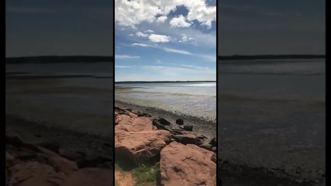 Low tide at the park