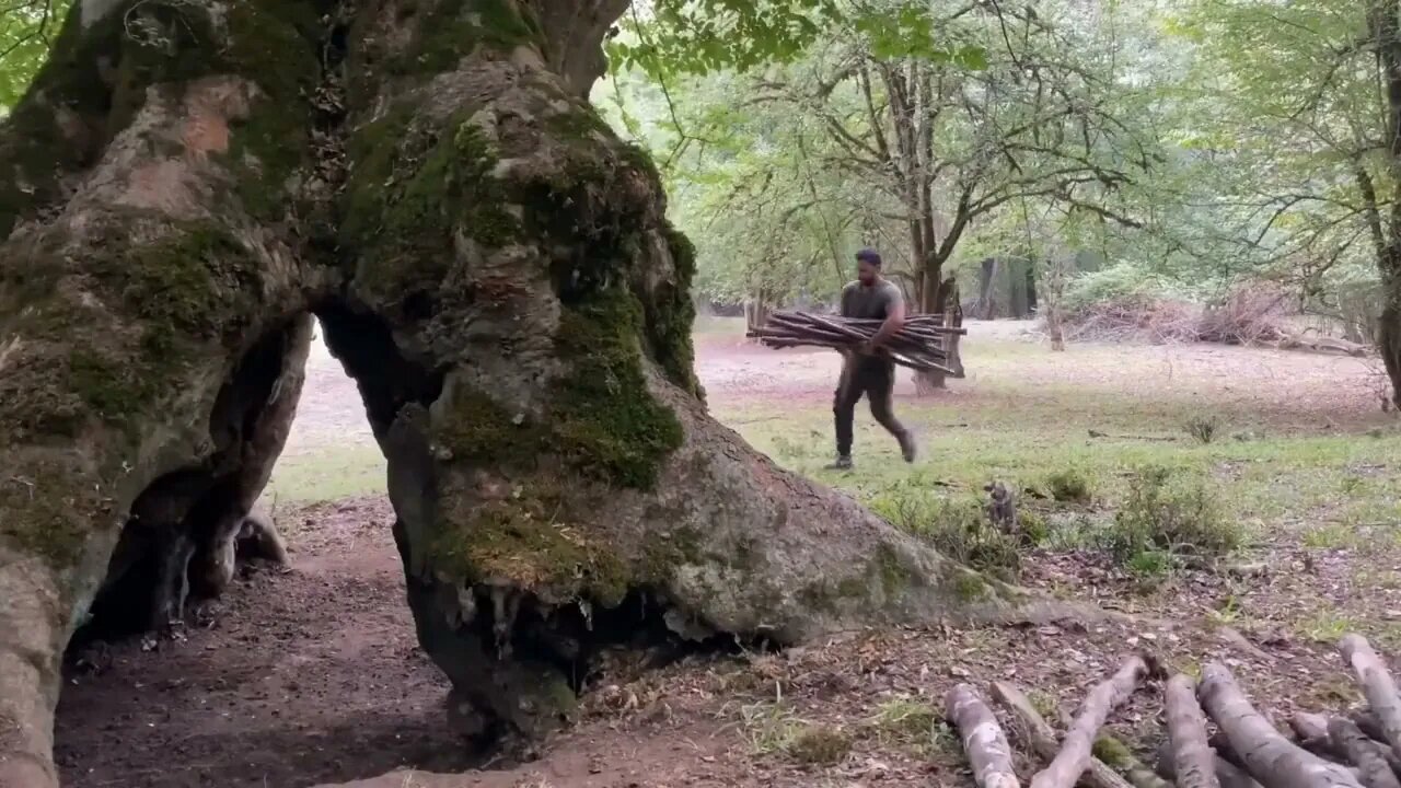 Build a warm shelter with a fireplace inside a 5,000 year old tree.10