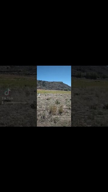 Blue Mesa Resevior- Is it drying up!