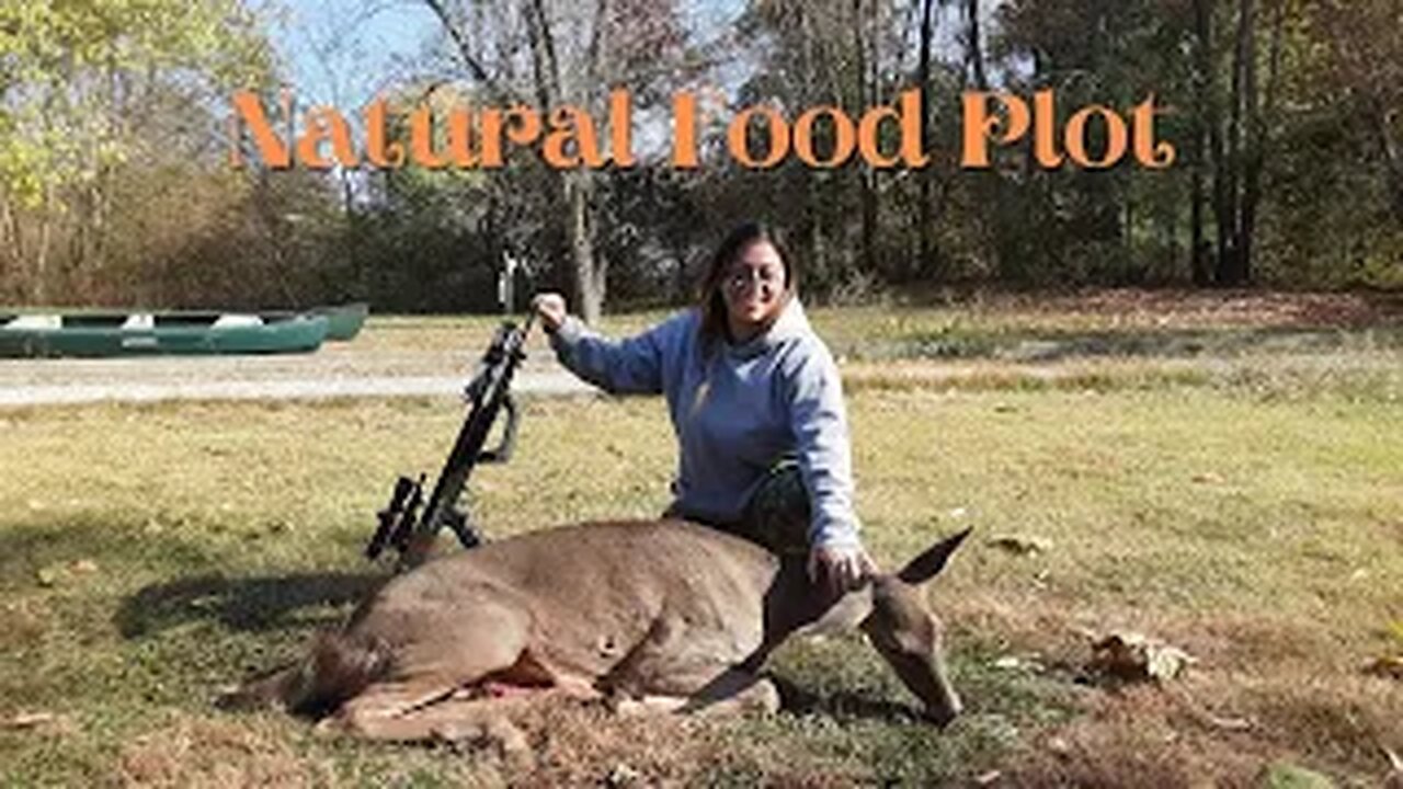 Natural food plot Doe?