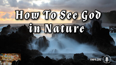 23 Jul 24, The Bishop Strickland Hour: How To See God in Nature