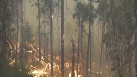 Oak Fire Continues To Blaze In Yosemite National Park