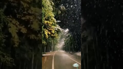 Amazing