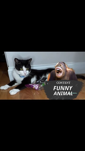 When you’re full but the person insists on giving you more food.