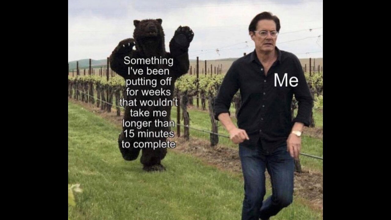 Procrastination Bear #memes #silly #funny #procrastination #regret #problem