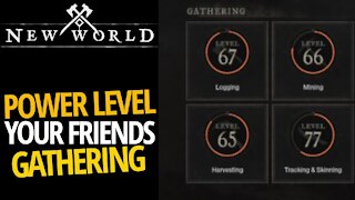 Group Gathering (Power Level Gathering) - New World