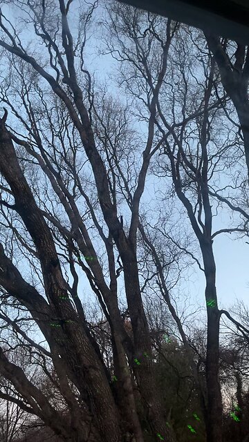 War, PEACE OR DEATH, new life force DO NOT SHOOT