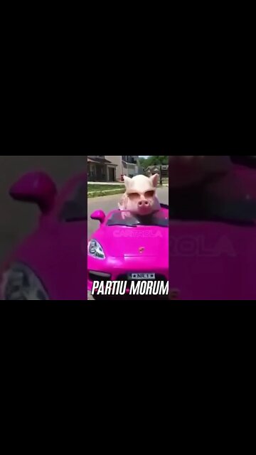 SÃO PAULO 1 X 0 PALMEIRAS COPA DO BRASIL 2022