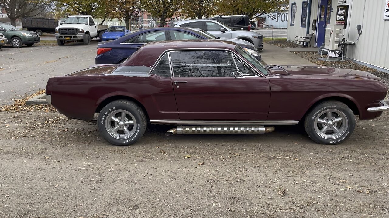 1965 Ford mustang …in the wild