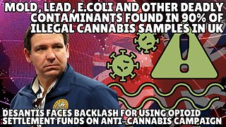 - Mold, Lead, E.Coli And Other Deadly Contaminants Found In 90% Of Illegal Cannabis Samples In UK