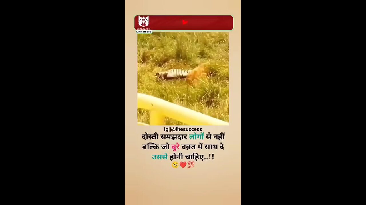 दोस्ती समझदार लोगों से