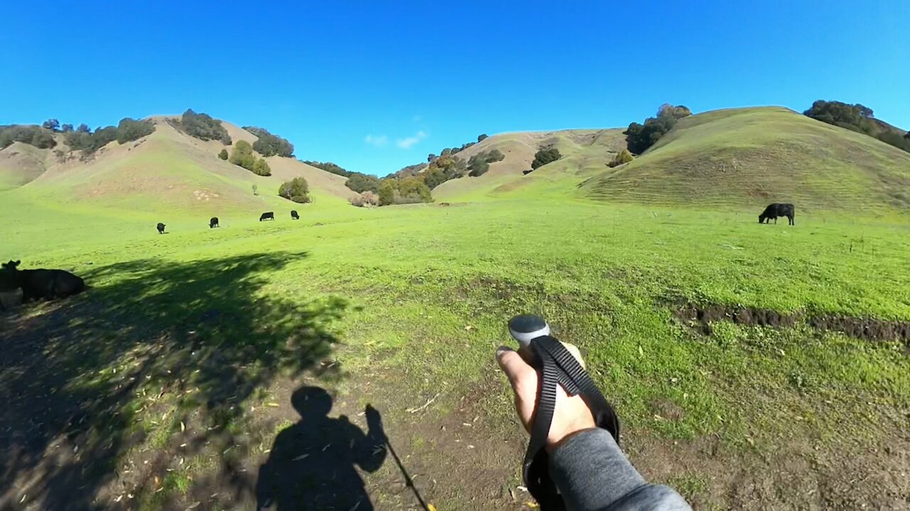 Hiking in Briones Regional Park Timelapse