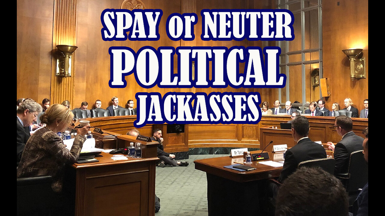 SPAY OR NEUTER POLITICAL JACKASSES