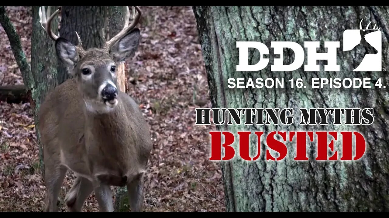 Deer Hunting Myths | Deer & Deer Hunting TV
