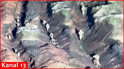 Russians "Resting" In Channels Got Hindered - 11 Russians Targetted