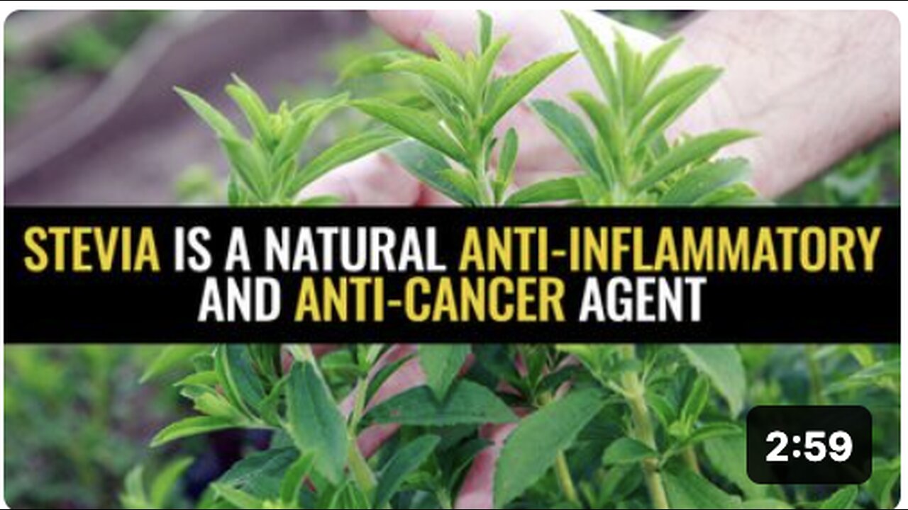 Stevia is a natural anti-inflammatory and anti-cancer agent