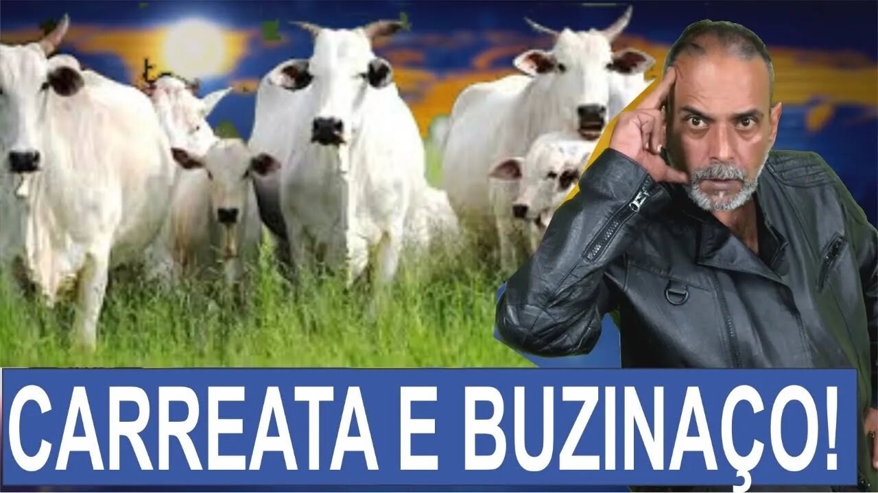 💥 BUZINAÇO É PROIBIDO, PRESIDENTE TEM POSTAGENS DELETADAS E EU FIZ DENÚNCIA DE FALSO JORNALISTA!