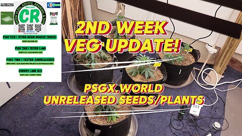 CR's 2024 Fall Grow Unreleased Seeds/Plants 2nd Week Veg Update!