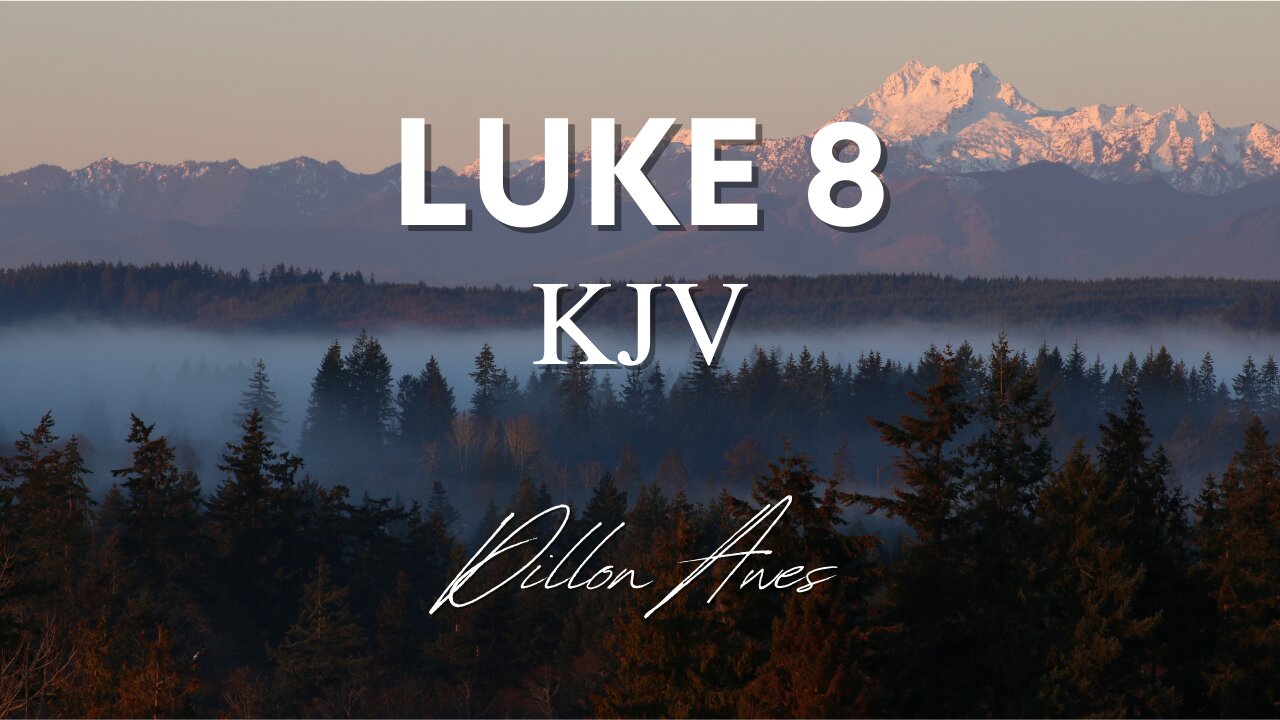 Luke 8 - King James Audio Bible Read By Dillon Awes