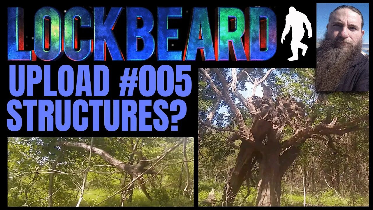 UPLOAD #005. Structures?