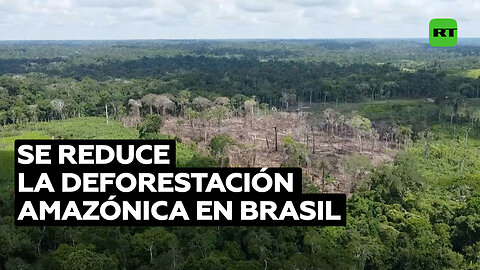 Brasil registra reducción de la deforestación amazónica