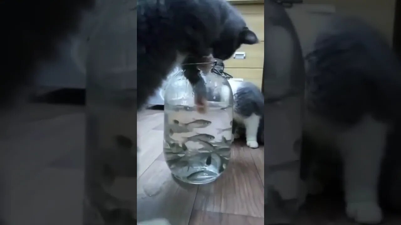 I Want It
