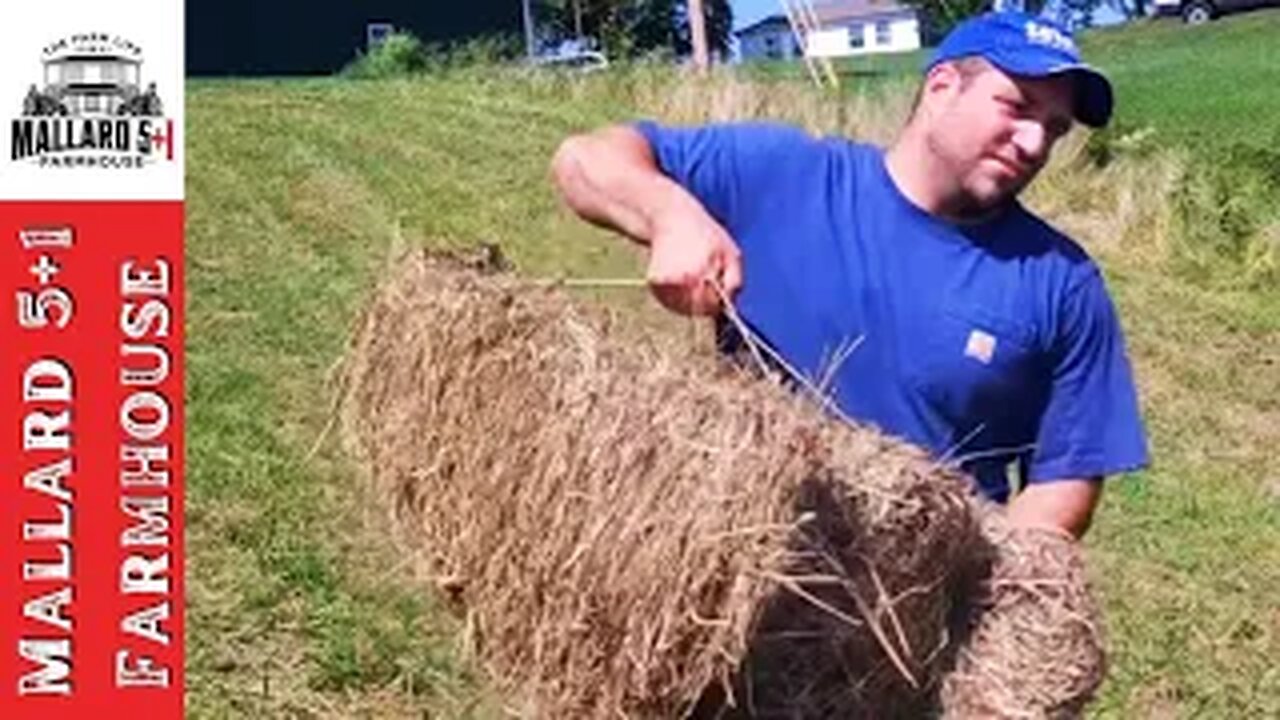 2nd Cut Of Hay DESTROYED By Rain (But We Baled It Anyway)