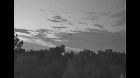 UFO Caught on Video Surveying Forest