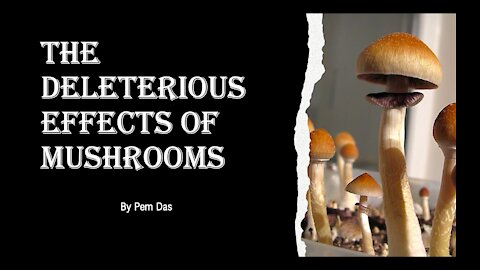 Deleterious Effects of Psychedelic Mushrooms