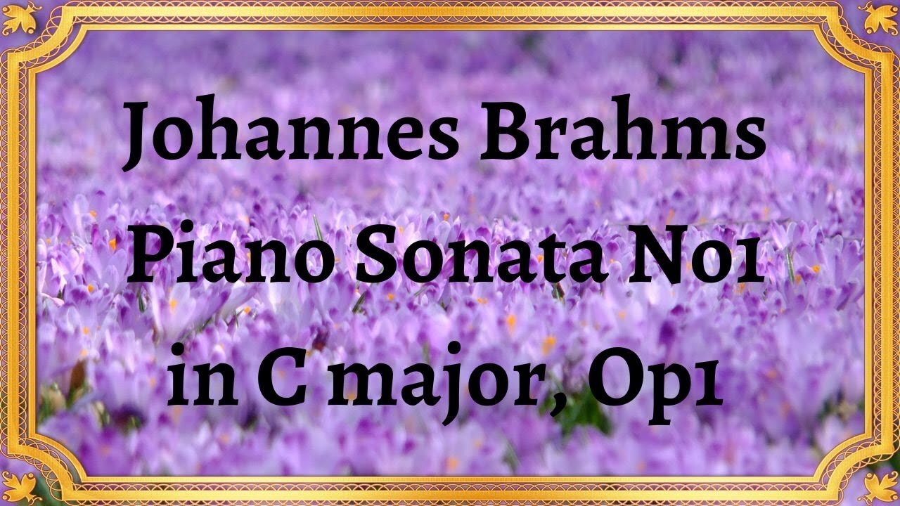 Johannes Brahms Piano Sonata No1 in C major, Op1